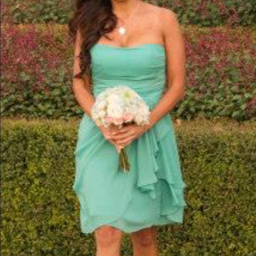 Tiffany blue bridesmaids dress Jim Hjelm brand